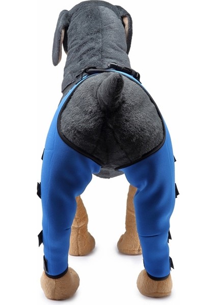 Evcil Köpek Bacak Diz Koruyucusu Ameliyat Yaralanması Koruyucu Kapak, BoyutS (Mavi) (Yurt Dışından) modelleri