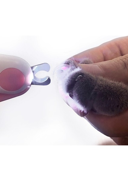 LED Kan Hattı Işığı (Mavi) ile Evcil Hayvan Tırnak Makası (Yurt Dışından) modelleri