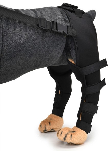 Evcil Köpek Bacak Diz Koruyucusu Ameliyat Yaralanması Koruyucu Kapak, BoyutXs (Siyah) (Yurt Dışından) fırsatları