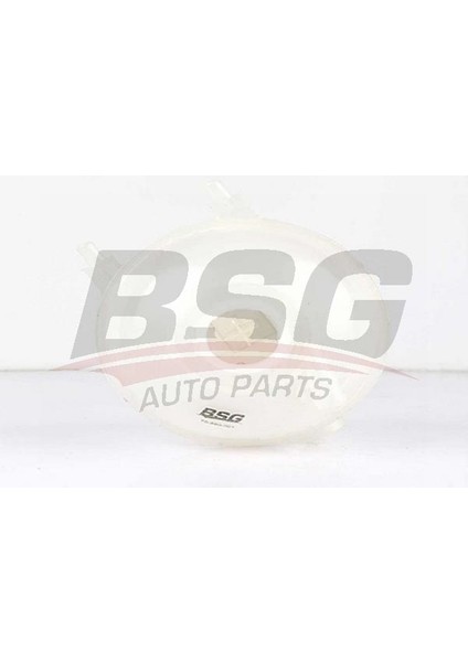 70-550-001 Radyator Yedek Su Deposu 70550001 (WC946715)