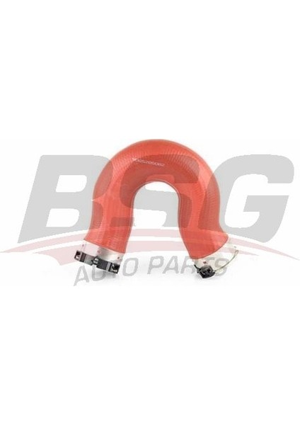 Bsg 60-720-212 Turbo Hortumu 60720212 (WH561353)