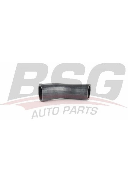 Bsg 70-720-202 Turbo Hortumu 70720202 (WE433754)