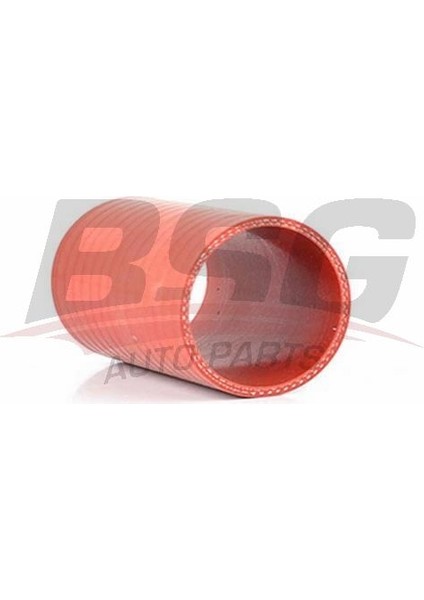 Bsg 30-720-120 Turbo Hortumu 30720120 (WH568768)