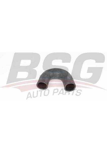 Bsg 25-720-044 Turbo Hortumu 25720044 (WF151652)