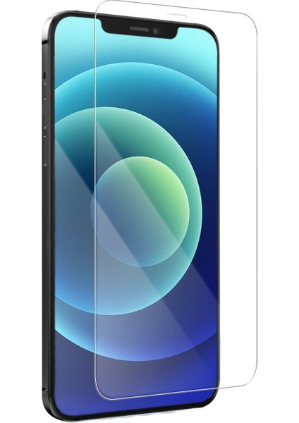 iPhone 12 Pro Max Kılıf Karbon Fiber Mat Dizayn+Nano Cam