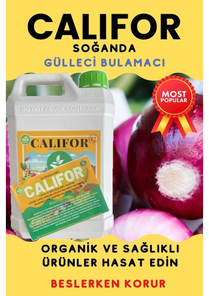 Gülleci Bulamacı-Kaliforniya Bulamacı 5LT