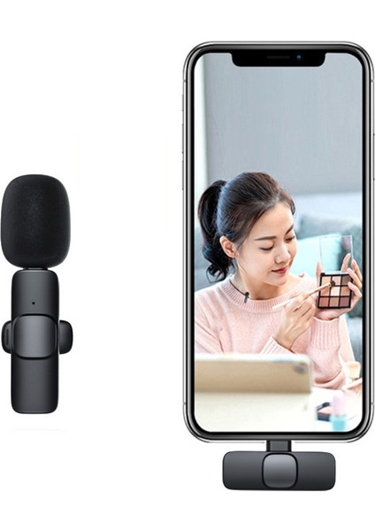 Mikrofon Spesifikasyon 8 Pin Direct (Yurt Dışından)