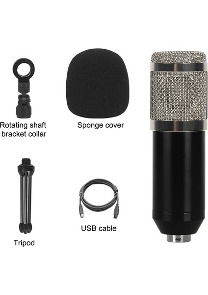 BM-828 USB Kondenser Mikrofon Seti Gümüş (Yurt Dışından)