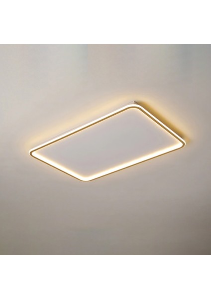 TRA54113 Eco 60*40 cm LED Avize Plafonyer Basıs - Işık Rengi 6500K Soğuk Beyaz indirimleri