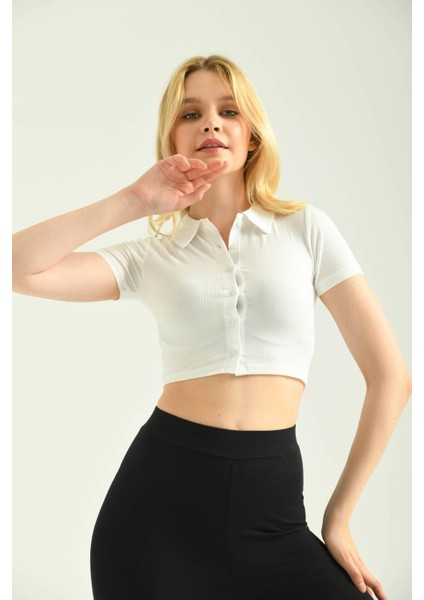 Beyaz Polo Yaka Fitilli Örme Crop Bluz fırsatları