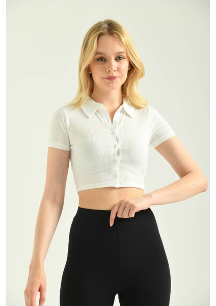 Beyaz Polo Yaka Fitilli Örme Crop Bluz indirimleri
