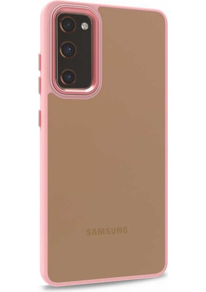 Samsung Galaxy S20 Fe Kılıf Bright Planet Rose Gold