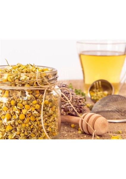 Papatya Çiçeği (Bitki Çayı) 25 gr Kavanoz Görünümlü Kilitli Poşet
