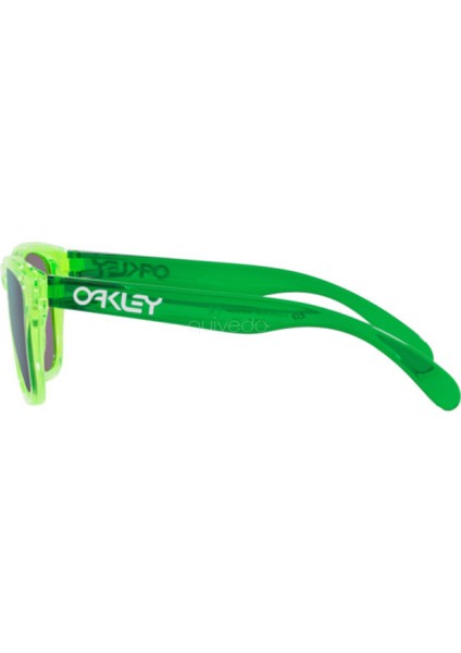 OJ 9009 900905 48 Oakley FROGSKINS XXS Genç Güneş ( Youth Fit ) Gözlüğü