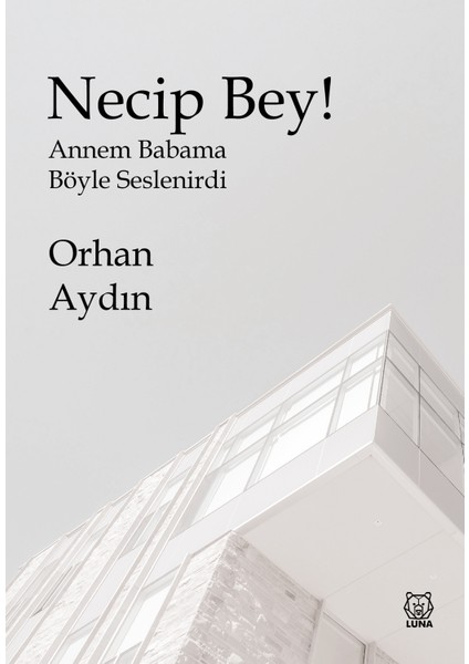 Necip Bey! - Orhan Aydın