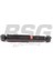 40-300-003 Amortisor Arka 40300003 (WN577563) 1