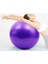 Pilates Topu 65 cm ( Mor ) + Pompa 1