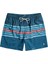 All Day Stripes Erkek Deniz Şortu C1LB02 2