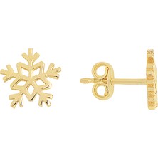 Altın Sepeti Altın Sade Kartanesi Küpe