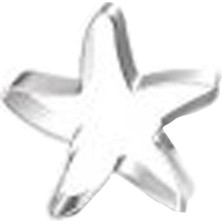 Pasta Market Kek Kurabiye ve Pasta Kalıbı Metal Şekilli Yıldız Model 7 cm