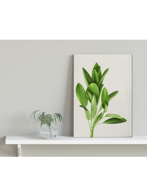 Bk Home Green Plant Tasarımlı Kanvas Tablo 30 x 50 cm - 4