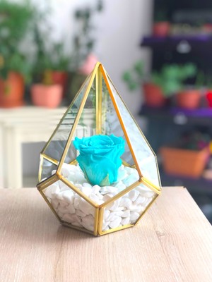 Vitrayverteks Solmayan Gül Su Yeşili Ve Pirinç Dekoratif Cam Fanus