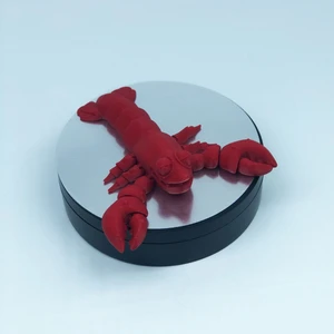 3D Hareketli Istakoz Figürlü Oyuncak - Kırmızı