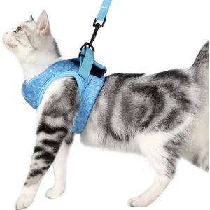 Kedi Tasma Evcil Hayvan Göğüs Kablo Demeti Tasması, Boyut: L (Gök Mavisi) (Yurt Dışından)