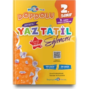 Mavi Boncuk Yayınları 2. Sınıf Şifreli Yaz Tatil Kitabı