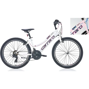 Speed 242 24 Jant Kız Bisikleti Full Shimano 21VITES