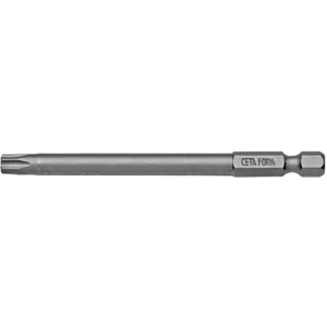Form CB/830 Torx Bits Uç T40 (1 Adet)