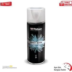 Özel Amaçlı Buzlu Cam Boyası Sprey 400 ml