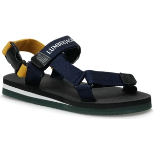 Zebry 2fx  Erkek Sandalet