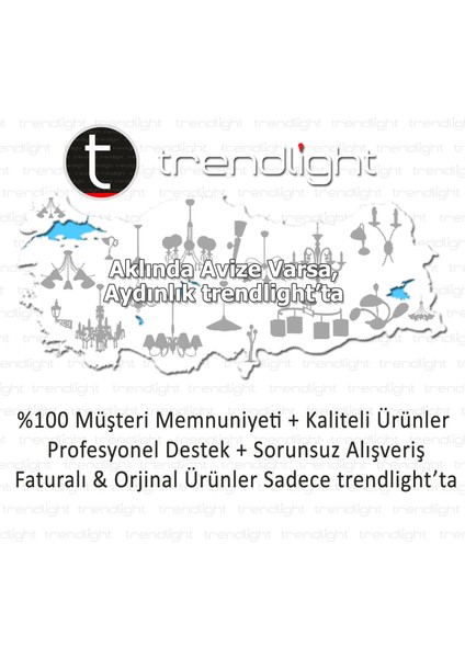 Kuğu Siyah Renkli Tekli Avize