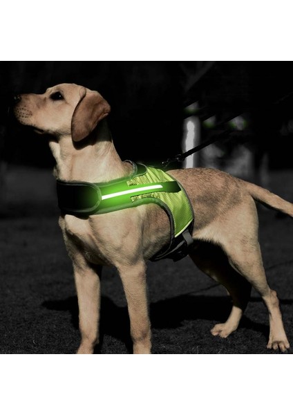 K-Şekilli Aydınlık LED LED Kablo Demeti Halatsız Evcil Köpekler Için, Boyut: L (Işıkla Göl Mavisi) (Yurt Dışından)