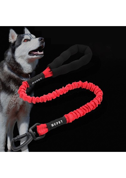 Hcpet Dog Traction Halat Pet Yüksek Elastik Patlamaya Koşullu Elastik Halat, Uzunluk: 120CM (Kırmızı) (Yurt Dışından)