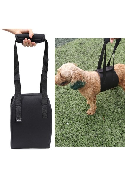 Hcpet F1905 Köpekler Leashe, Boyut: M (Siyah) (Yurt Dışından)