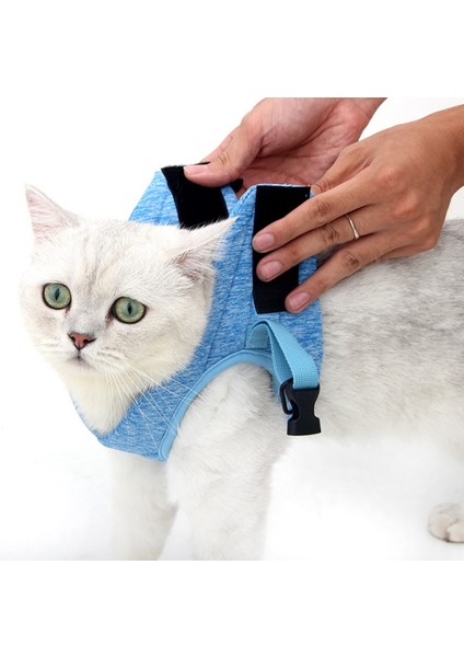 Kedi Tasma Evcil Hayvan Göğüs Kablo Demeti Tasması, Boyut: L (Gök Mavisi) (Yurt Dışından) modelleri