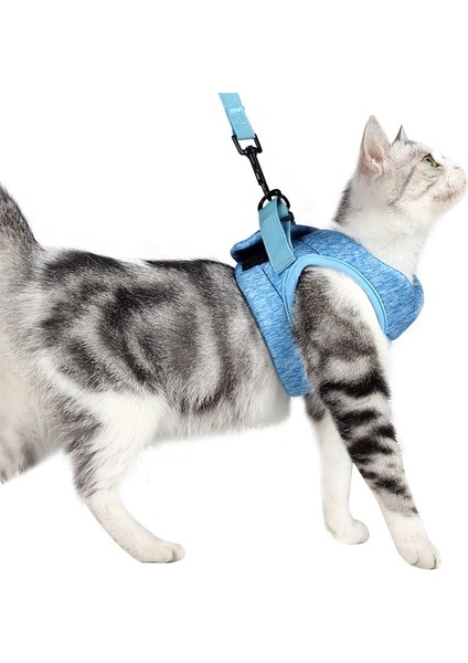 Kedi Tasma Evcil Hayvan Göğüs Kablo Demeti Tasması, Boyut: L (Gök Mavisi) (Yurt Dışından) fırsatları