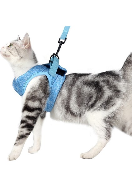 Kedi Tasma Evcil Hayvan Göğüs Kablo Demeti Tasması, Boyut: S (Gök Mavisi) (Yurt Dışından)