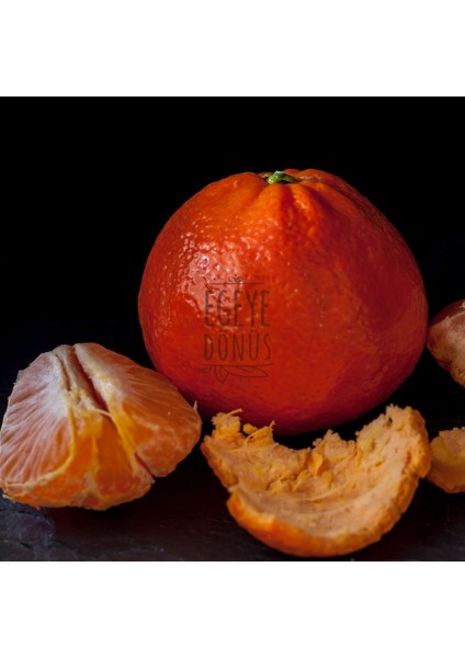Mandalina Kolonyası Cam Şişe 200 ml (80 Derece) - (Parfümlü) fırsatları
