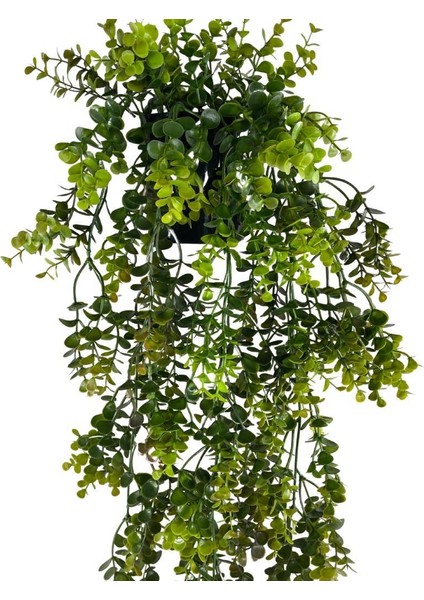 Yapay Çiçek Saksıda Sarkan Şimşir Kahverengi Yeşil Okaliptus Yapay Sarmaşık 60CM