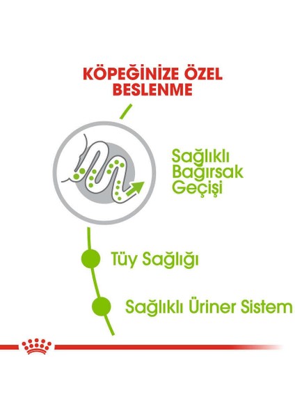 X-Small Küçük Irk Köpek Maması 3 kg