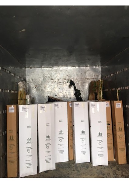 4 Adet Tüplü Salkım Meyveli Pepino Fidanı Yaş 1 Boy 45-65CM