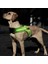 K-Şekilli Aydınlık LED LED Kablo Demeti Halatsız Evcil Köpekler Için, Boyut: L (Işıkla Göl Mavisi) (Yurt Dışından) 3