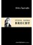 Yüzyıl Sonra Brecht 1