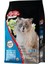 Cat Food Energy Somonlu Kısırlaştırılmış Kedi Maması 1 kg 1
