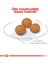 X-Small Küçük Irk Köpek Maması 3 kg 4