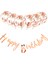 Metalize Happy Birthday Rose Gold Banner Set 1