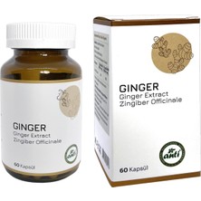 Anti    Ginger Extract  Zencefil Ekstresi  60+ 60 Kapsül